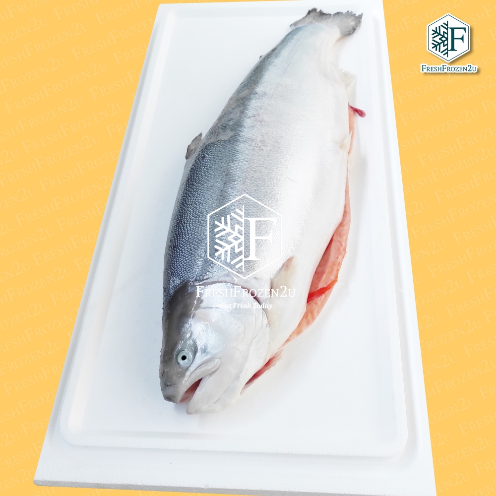 Fish Salmon Trout Norway (Half fish) (±2.1 kg) 挪威三文鱼(半切)