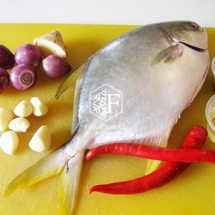 Fish Pomfret Golden (450 g) 金鲳鱼