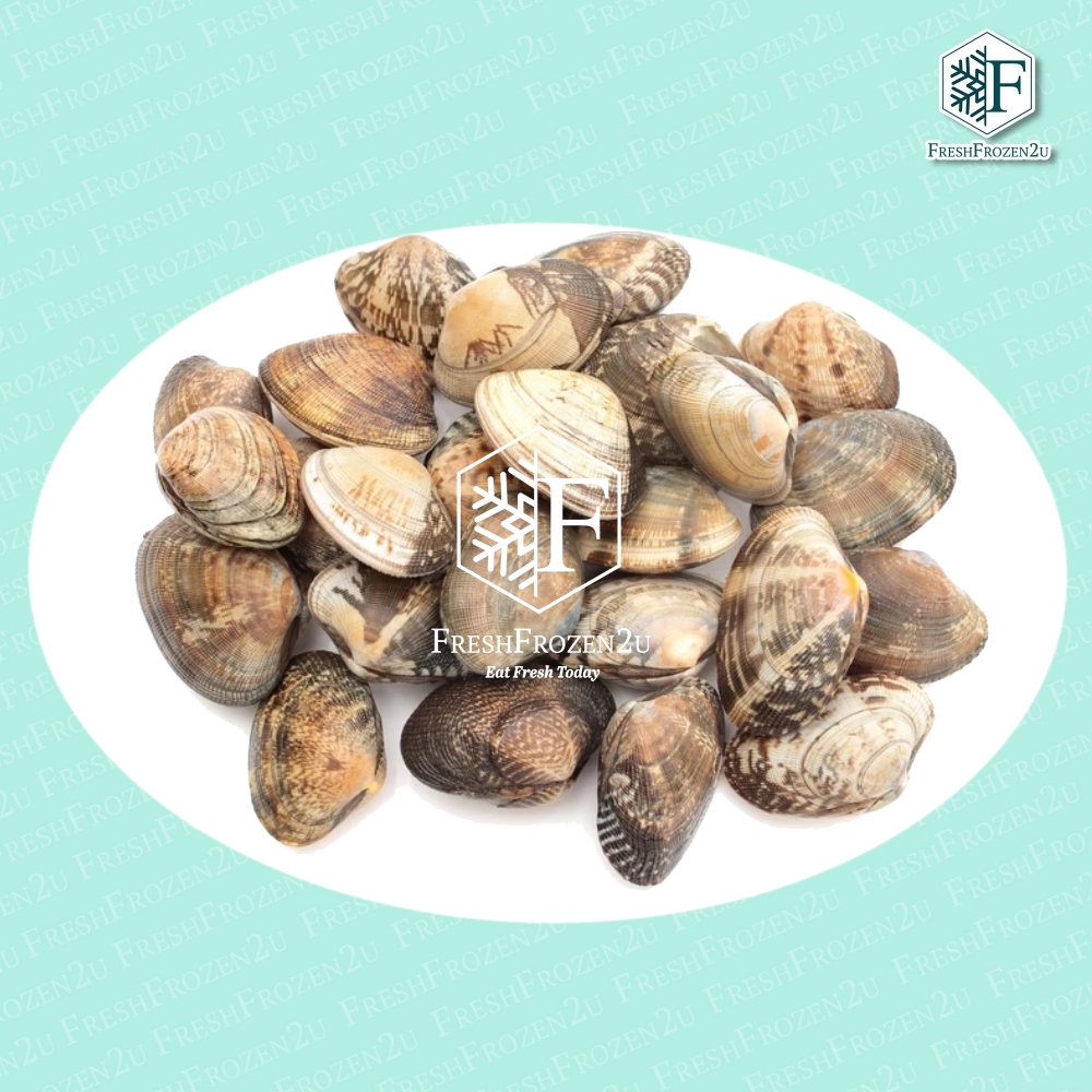 Asari Clam (500 g) 花蛤日本啦啦