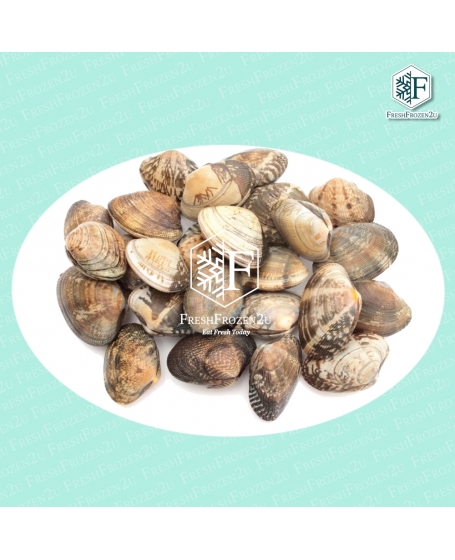 Asari Clam (500 g) 花蛤日本啦啦