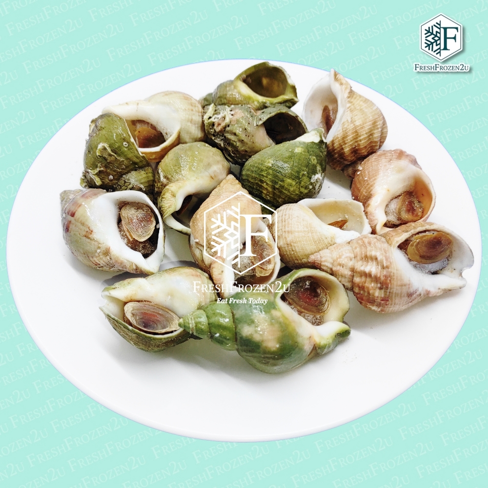 Whelk Green (500 g)