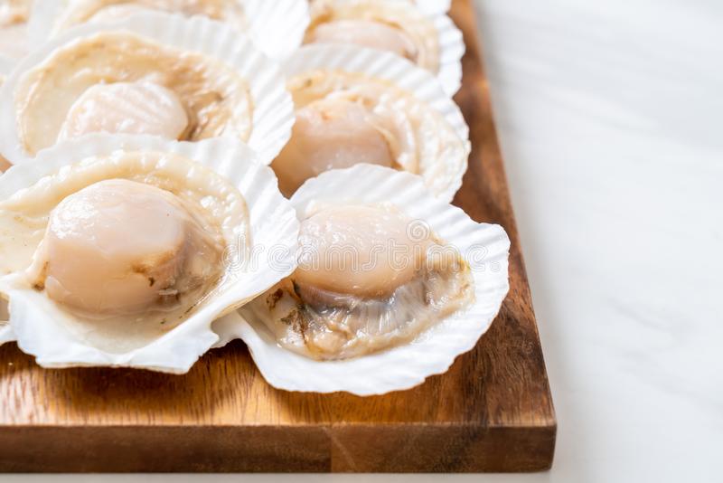 Half Shell Scallops (8-9cm) (500g)