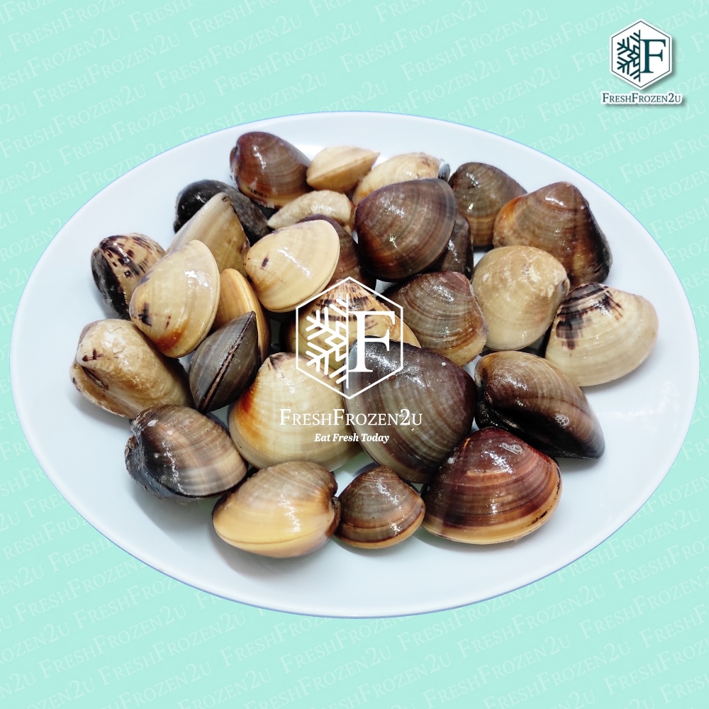 Clam Kepah, Littleneck, Sa Pai (1 kg)