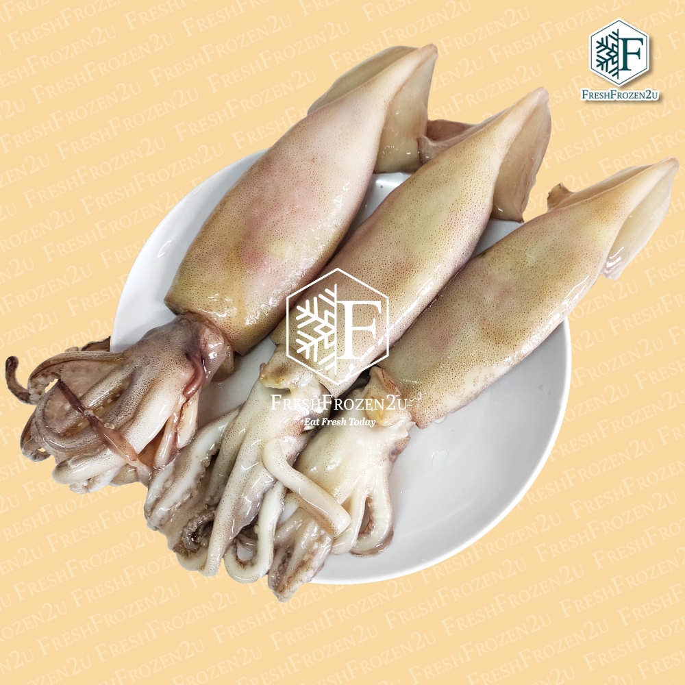 Squid Argentina (3 pcs) (800 g)