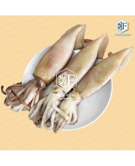 Squid Argentina (3 pcs) (800 g)