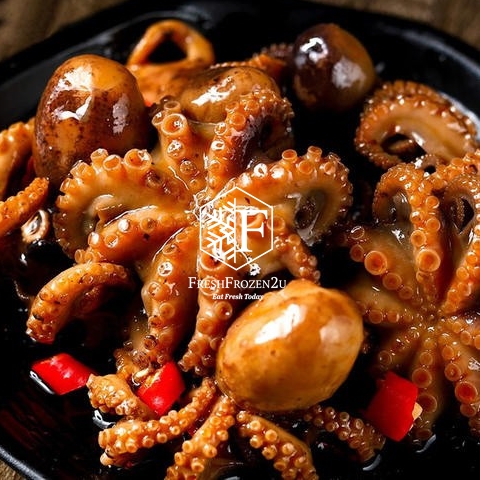 Baby Octopus L (8-10pcs) 小八爪魚