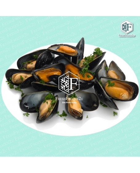 Black Mussel (Full Shell) (907gm)