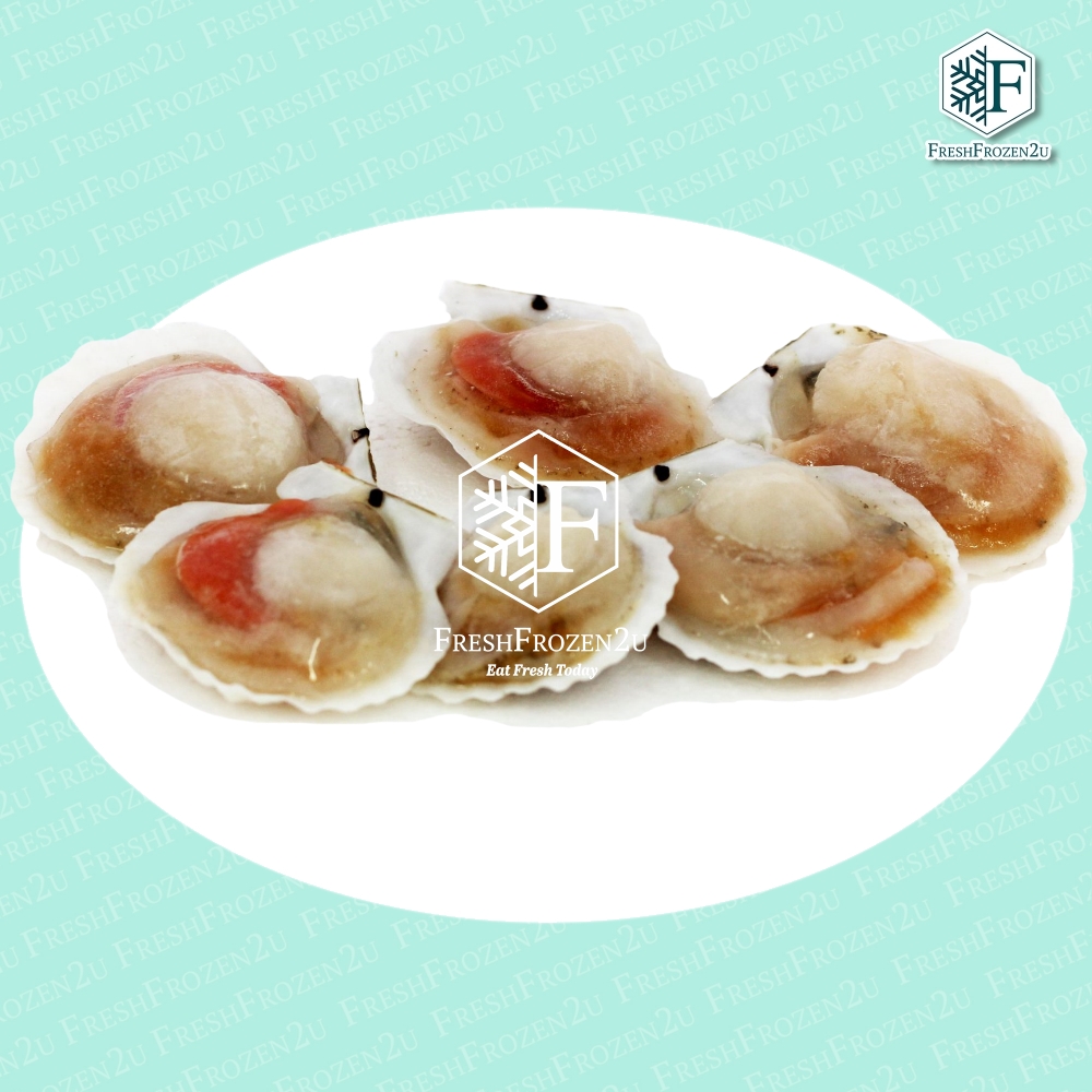 Scallop M (Half Shell) (500 g) 小带子半壳