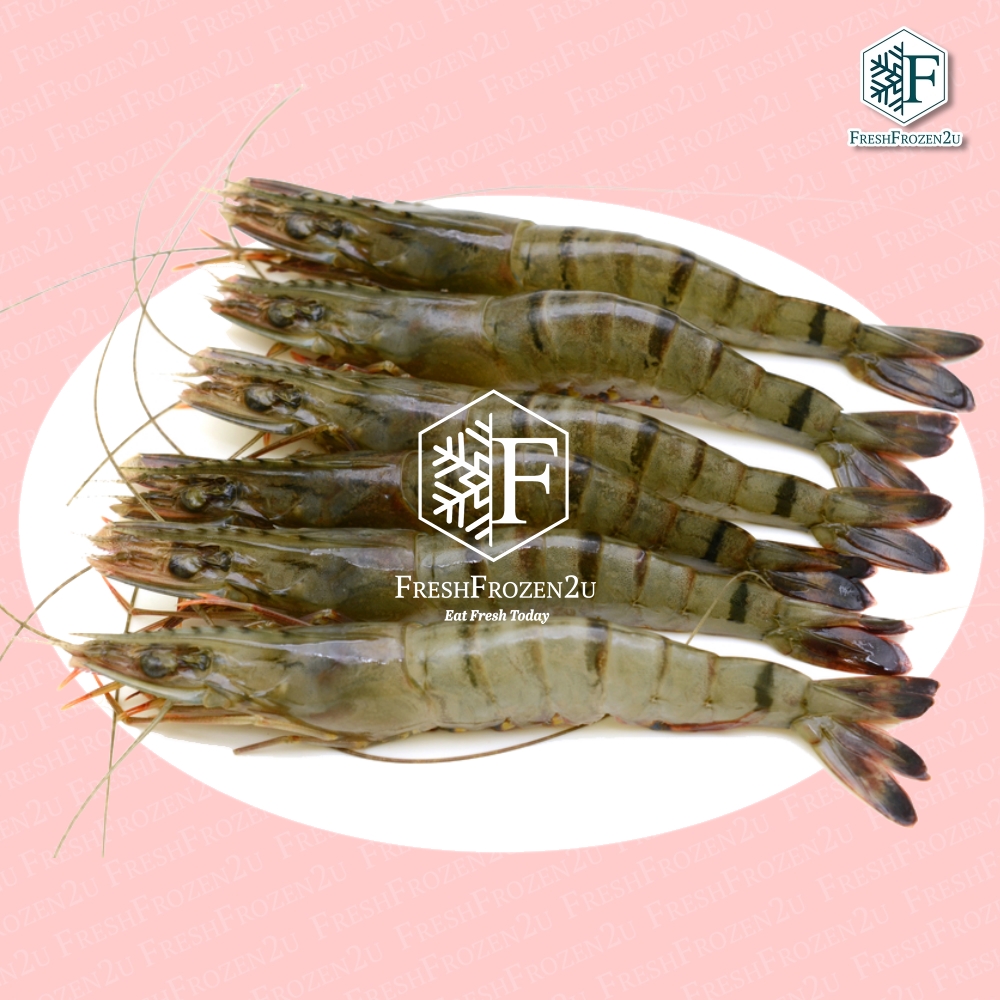 Tiger Prawn Cultured (16-20 pcs) (700 g) 虎虾