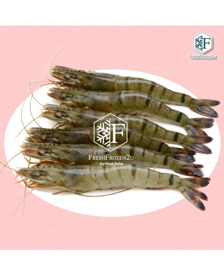 Tiger Prawn Cultured (16-20 pcs) (700 g) 虎虾