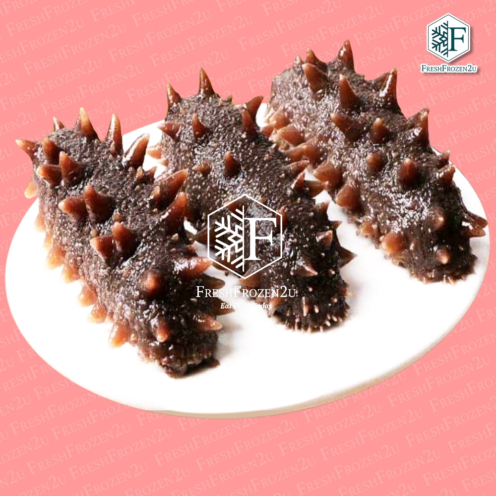 Premium Sea Cucumber (Ci Shen) 500gm