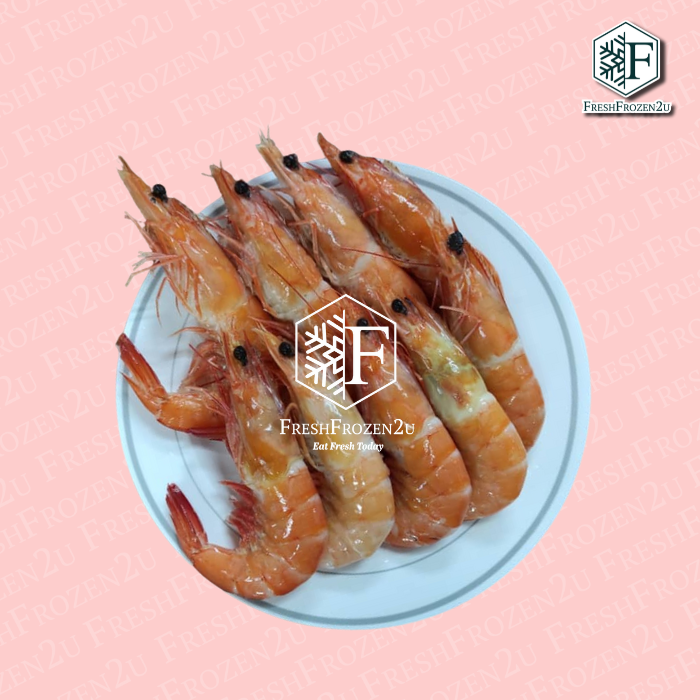 Frozen Cooked Prawn 31/35pcs