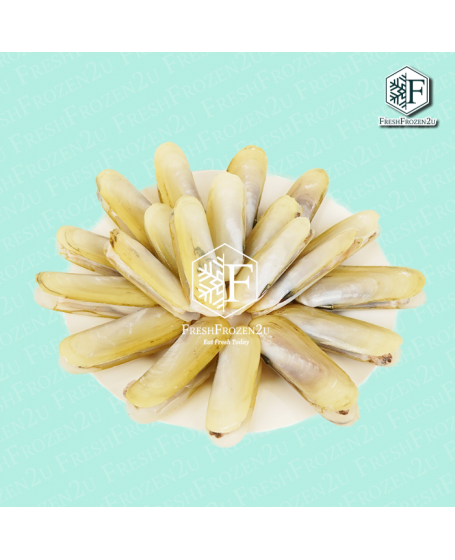 Fingernail Clam 指甲蚌 (16-20 pcs)