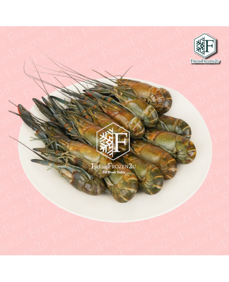 Crayfish (Baby Lobster) 小龙虾 30/50 (1 kg)