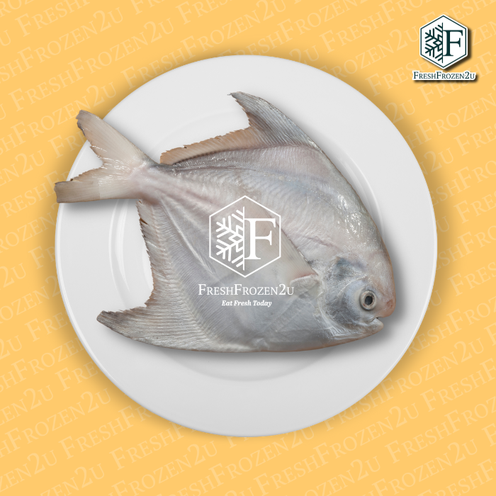 Chinese Pomfret Fish Bawal Tambak 斗鲳 350g