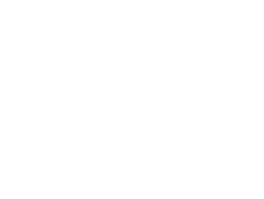 Vie Cosmetics logo