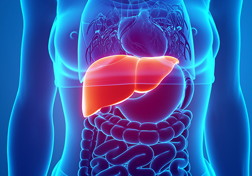 Liver Cancer