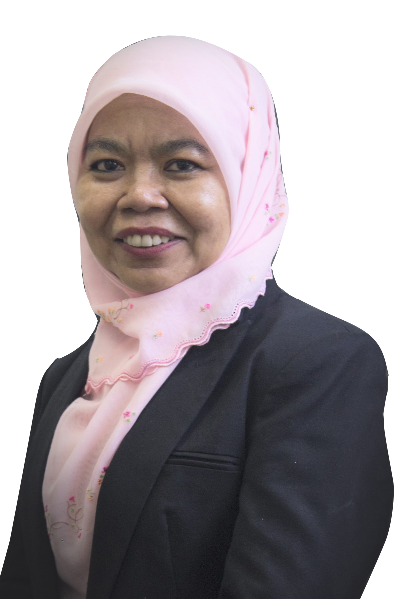 Dr Norzila Mohamed Zainudin