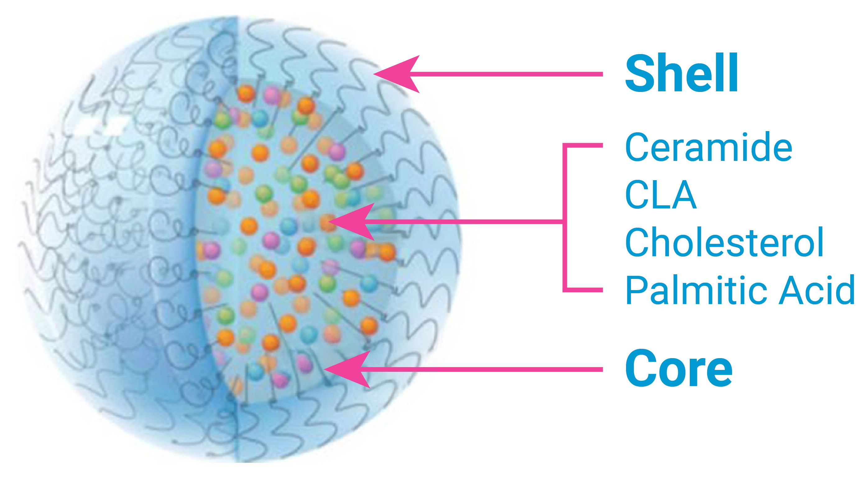 SalSphere® Natural Strength Booster