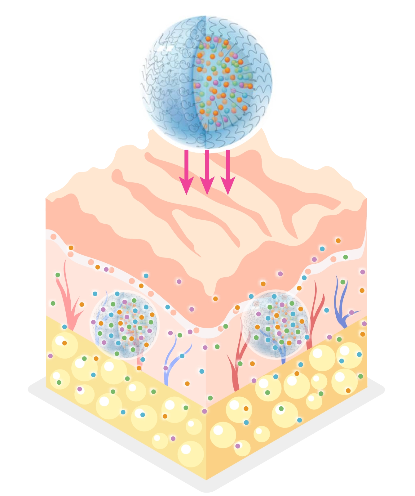 Repair and Restore Skin Barrier