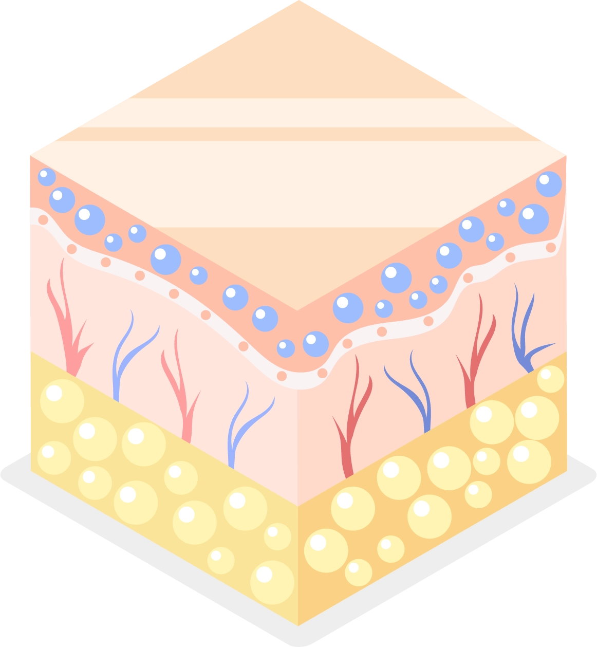Long-Lasting Moisture Retention