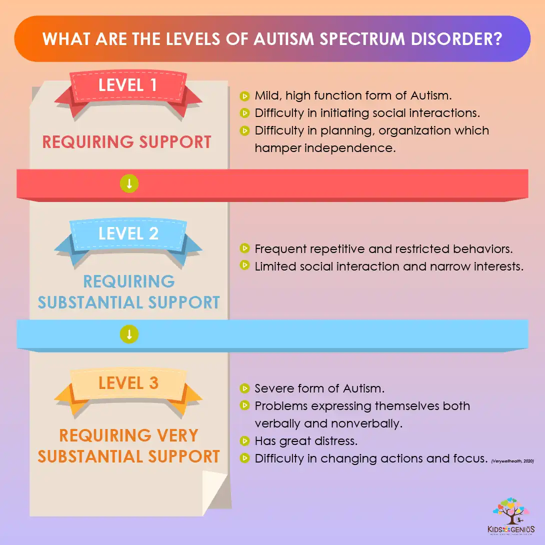 What are the levels of autism spectrum disorder?