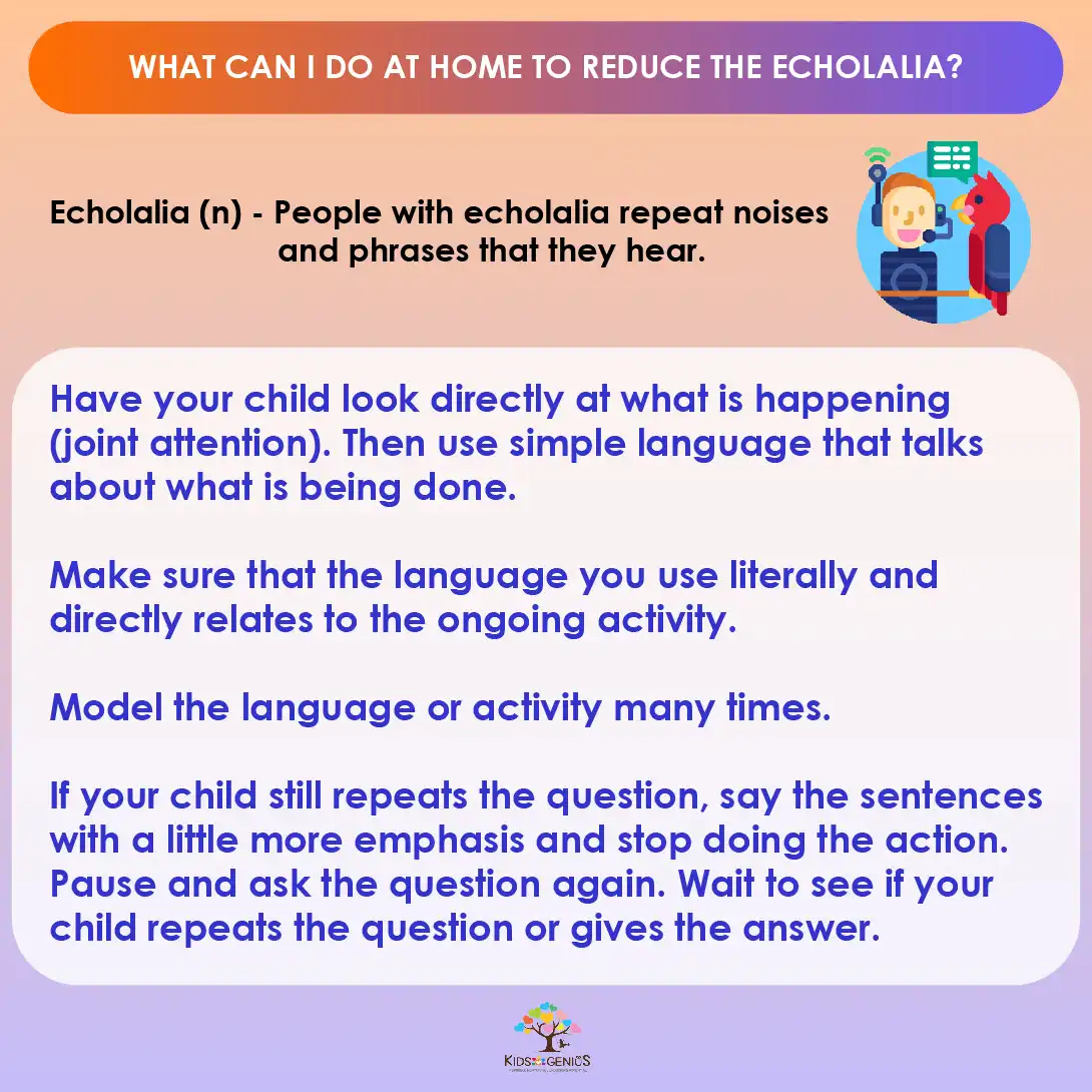 What can I do at home to reduce the echolalia?