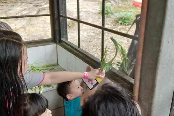 Kuala Lumpur Bird Park