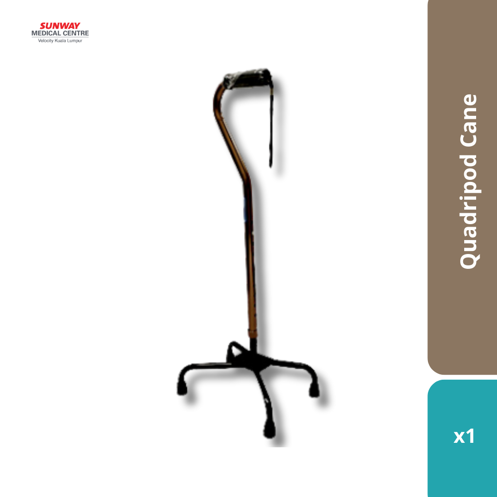Quadripod Cane