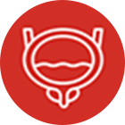 Urogynaecology