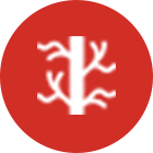 Vascular Surgery