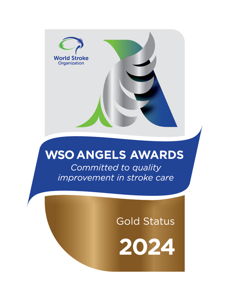 World Stroke Organisation (WSO) Angels Awards 2024 - Gold Award (Q1)