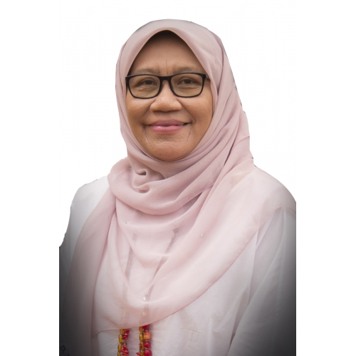 Dr Roziana Ariffin