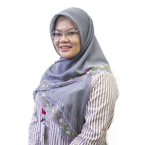 Dr Rohazly Ismail