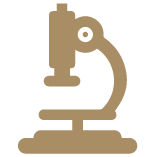 Medical Microbiology